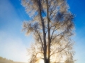 Doug Whitney Winter Sunrise in Lamar Valley, Yellowstone National Park
