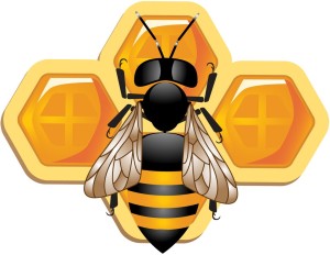 The decline of the honeybee